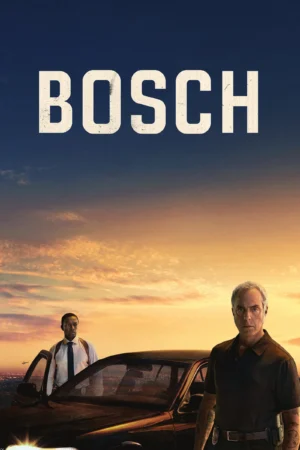 Bosch 6