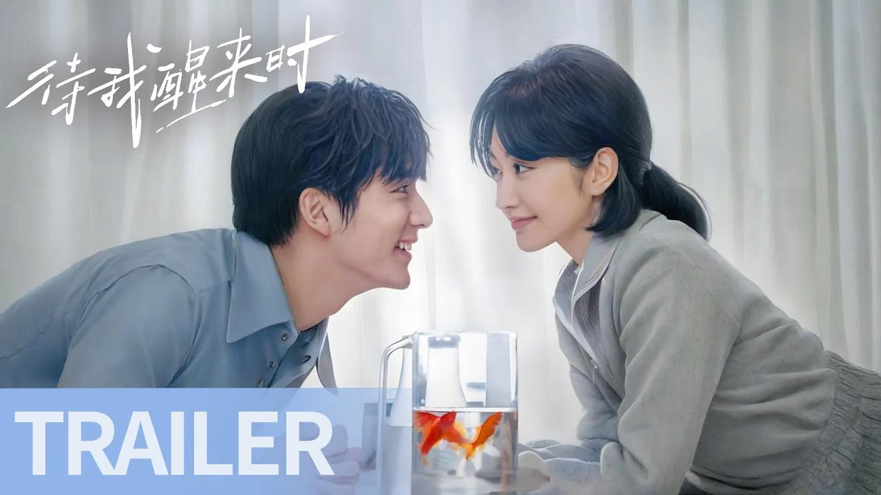 Đợi Khi Tôi Tỉnh Lại