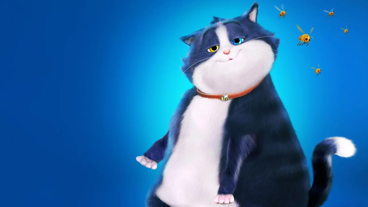 Mèo Mập Mang 10 Mạng