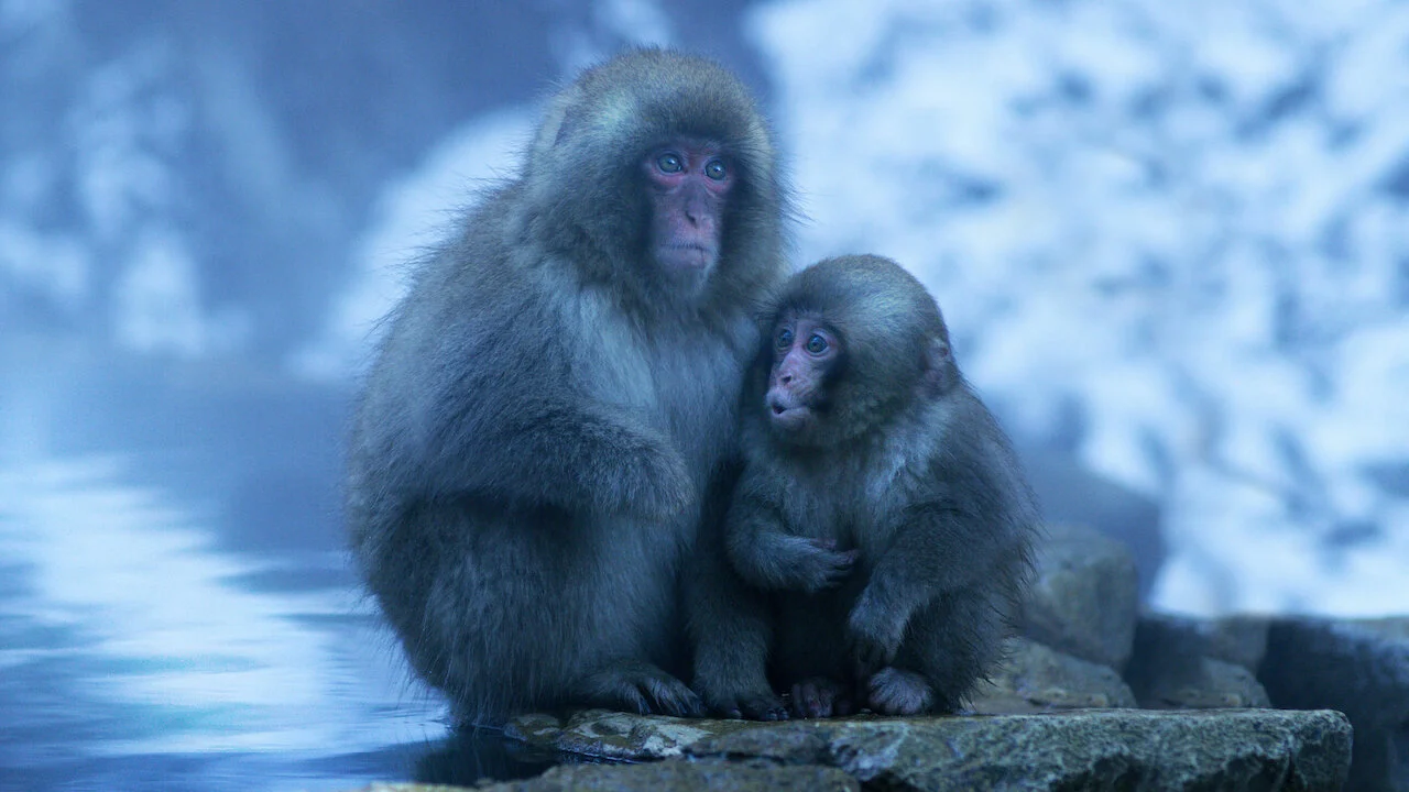 Nghệ Thuật Của Tự Nhiên 2