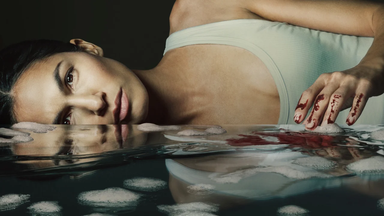 Quý Cô Giúp Việc 2